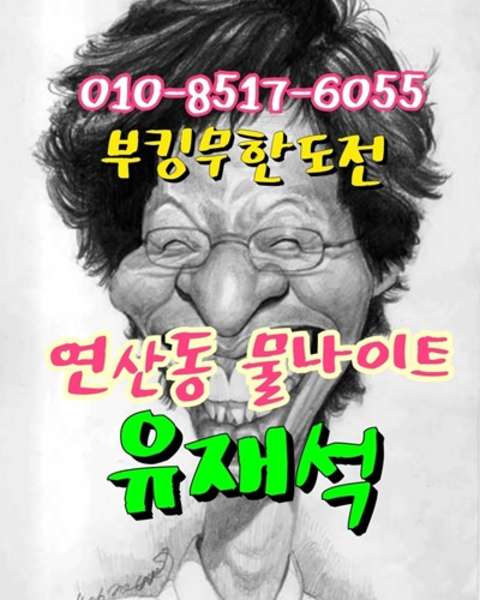 연산동물나이트