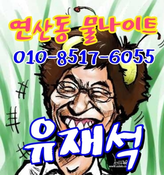 연산동물나이트