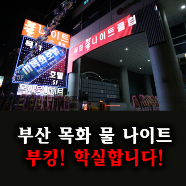 부산물나이트