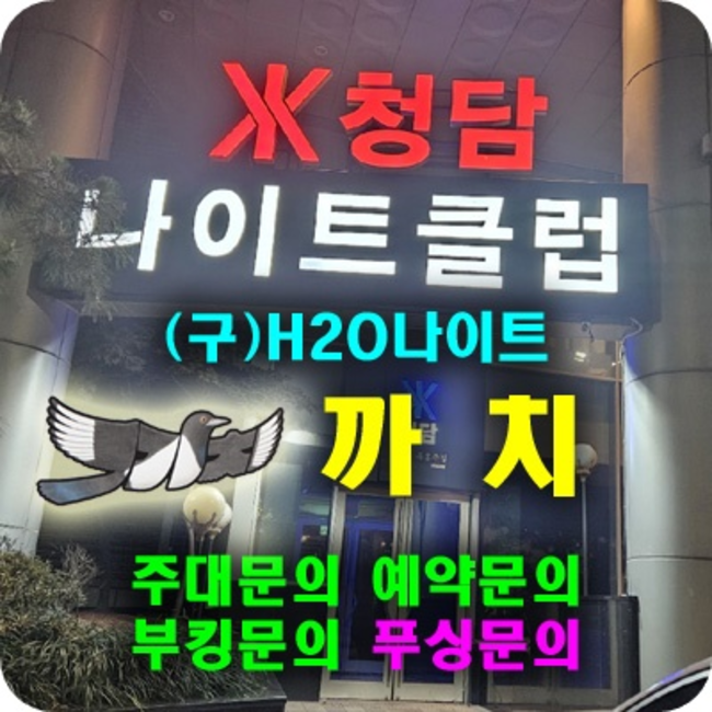 영동호텔나이트
